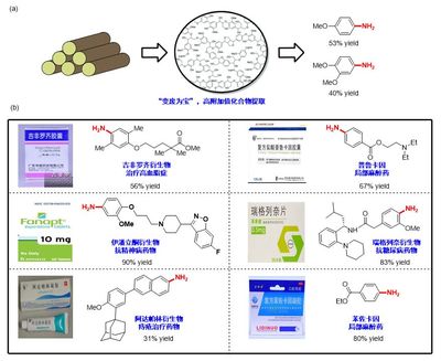 北京大學在大宗化學原料利用方面取得新突破
