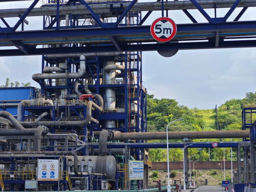 活力中國調(diào)研行 重慶 山水 煥新 產(chǎn)業(yè) 增綠